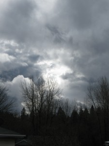 Stratocumulus clouds